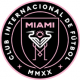 Inter Miami football kit kids