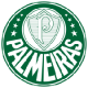 Palmeiras football kit kids