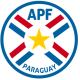 Paraguay football shirt